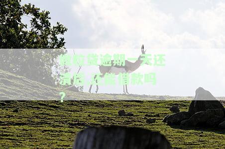 微粒贷逾期一天还清后,还能借款吗?