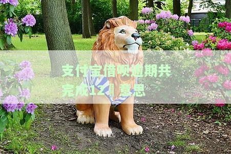 支付宝借呗逾期记录多久消除？
