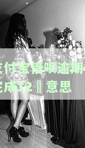 支付宝借呗逾期共完成12項意思-支付宝借呗逾期共完成12意思是什么