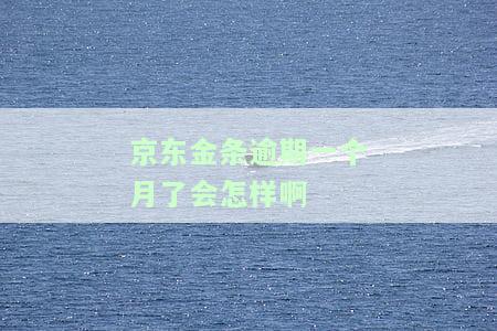 京东金条逾期一个月后一次性还清，多久能重新使用？