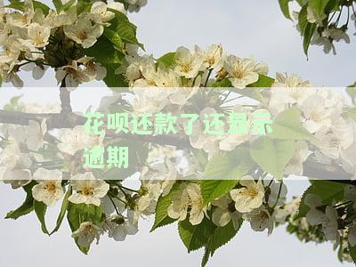 花呗还款了还显示逾期什么意思，为何花呗已还款仍显示逾期？原因解析