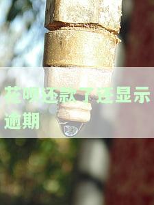 我花呗逾期后还清仍有余额无法使用，如何解决？