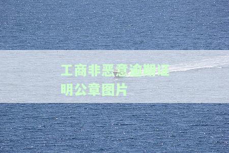 工商银行非恶意逾期证明本章子法及模板