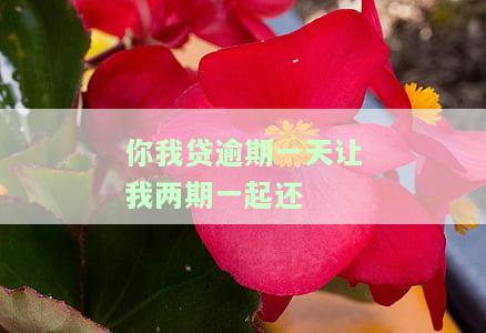 你我贷逾期一天让我两期一起还-你我贷逾期两天会要求一次性还完尾款吗