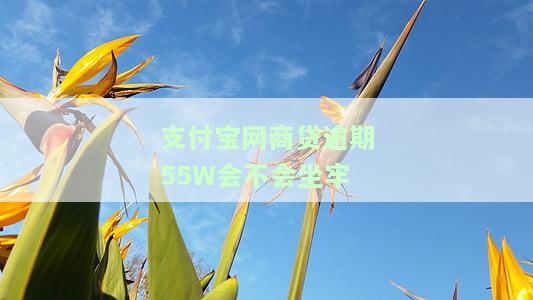 支付宝网商贷逾期55W会不会坐牢-支付宝网商贷逾期55w会不会坐牢呢