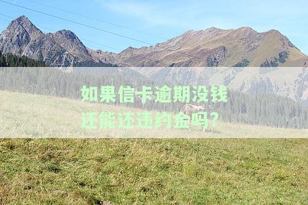 如果信卡逾期没钱还能还违约金吗，逾期未还款，违约金是否仍需支付？——关于信卡的法律问题解析