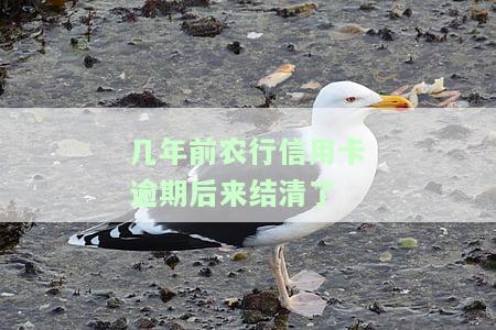 几年前农行信用卡逾期后来结清了