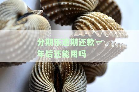 我在分期乐逾期了一年,对我有什么影响，一年的分期乐逾期可能对您产生的影响