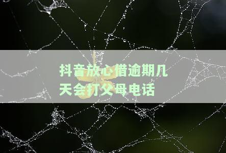 抖音放心借会打电话核实情况吗？有电话回访吗？