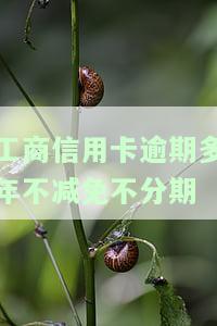 2021年工商银行信用卡逾期新政策，2021年工商银行信用卡逾期处理新政策出炉！