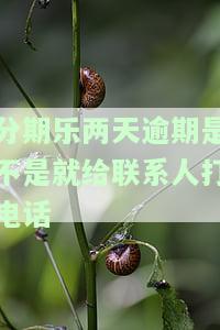 分期乐逾期两天会不会给紧急联系人打电话，分期乐逾期两天会否通知紧急联系人？