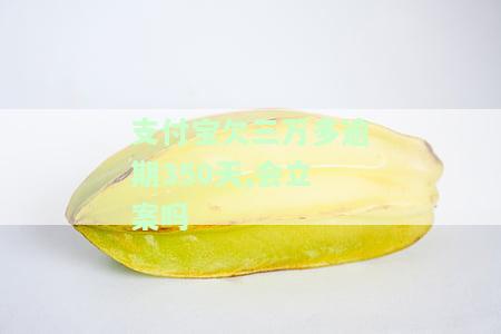 支付宝欠3万多,逾期三个月会被起诉吗，支付宝欠款3万多元，逾期三个月是否会面临被起诉的风险？