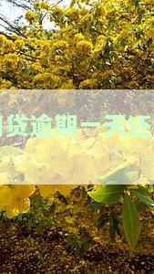 网贷不小心逾期一天有影响吗？该如何处理？