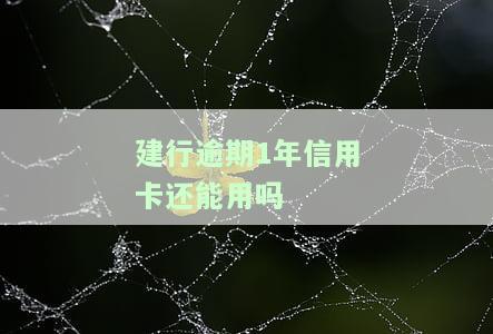 建行卡信用卡逾期一次会如何影响贷款申请？