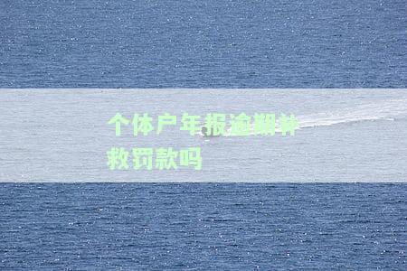 个体户年报逾期补救罚款吗多少，个体户年报逾期如何补救？是否会被罚款？金额是多少？