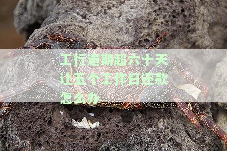 工行逾期超六十天让五个工作日还款怎么办-工行逾期超六十天让五个工作日还款怎么办理