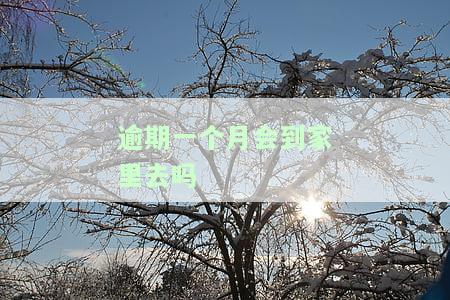 逾期一个月是否会上征信？无力还款的最佳解决办法是什么？