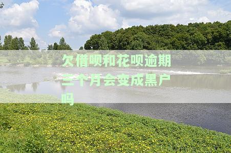 欠借呗和花呗逾期三个月会变成黑户吗？解决方案是什么？