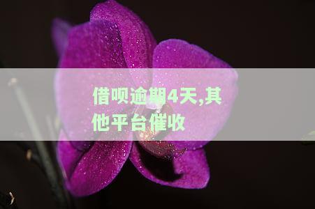 借呗逾期4天，其他平台催收有效吗？解决方案是什么？