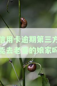 信用卡逾期：第三方能否去老婆娘家？有何影响？会影响老婆按揭买车吗？