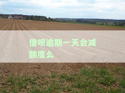 借呗逾期一天会减额度么吗，你会失去借呗额度吗？逾期一天会产生什么影响？