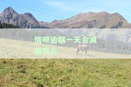 借呗逾期一天会减额度么