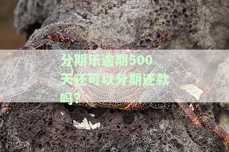 分期乐逾期50天还请了可以再次借钱吗，分期乐逾期50天后还款，能否再次申请借款？