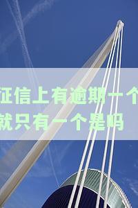 如何处理个人征信中的逾期记录？