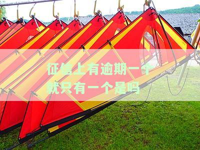 征信有一次逾期，有何影响？
