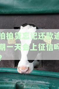 拍拍贷忘记还款逾期一天会否上征信？解决方案全解析