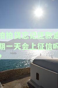 拍拍贷忘记还款逾期一天会上征信吗有影响吗，关于拍拍贷逾期一天的影响：是否会上征信？