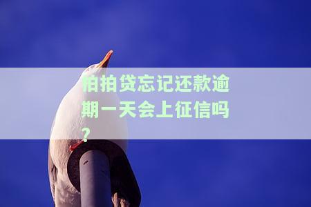 拍拍贷忘记还款一天会怎么样啊，忘记还款一天的拍拍贷会产生什么后果？