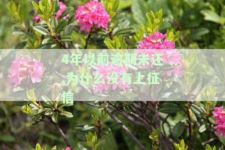 四年前逾期近两年没有影响？能否申请贷款或房贷？