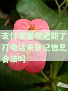 支付宝借呗逾期了打电话来登记信息合法吗