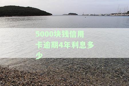 5000块钱信用卡逾期4年利息多少呢，五年未还清的5000元信用卡，逾期四年的利息有多少？