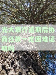 光大银行协商还款需哪些证明？包括60期面签情况与所需材料
