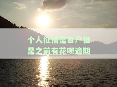 个人征信是白户但是之前有花呗逾期怎么办，白户如何处理花呗逾期记录影响个人征信？