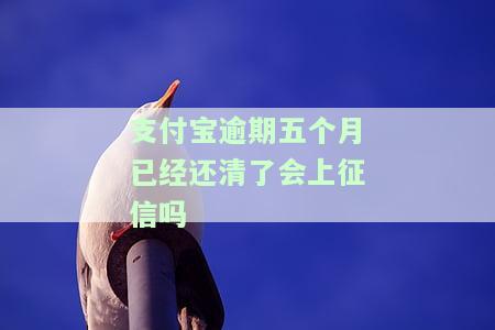 支付宝逾期五个月已还清，会否影响征信？