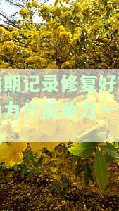 逾期记录修复好友助力只能助力一次吗，逾期记录修复：好友助力次数有限，每人仅能助力一次