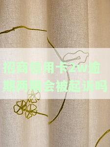欠招商银行两万信用卡还不上真的会被起诉吗，信用卡欠款两万未还，真的会面临招商银行的起诉吗？