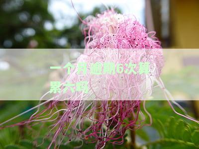 一个月逾期三次怎么办？影响及解决措全解析