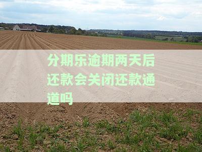 分期乐逾期两天会有什么后果？有奖问答！逾期后还款会影响征信吗？