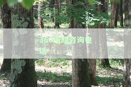 360借款咨询电话及服务热线是多少？