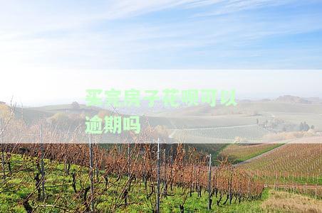 买房子前需还清花呗？影响购房吗？