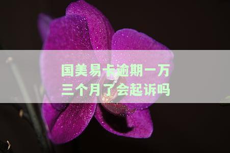 国美易卡逾期一年多真的会被法院立案吗？欠款不到3千多，逾期360多天，上门催收是否可能？