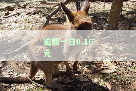 逾期一日与每逾期一日有何区别？后果是什么？