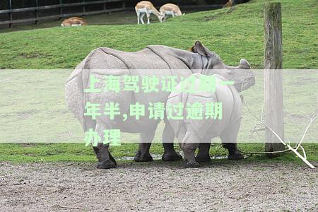 上海驾驶证过期多久可以补，驾驶证过期时间限制：在上海，你需要注意什么？