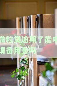 微粒贷逾期能否申请备用金？安全性如何？