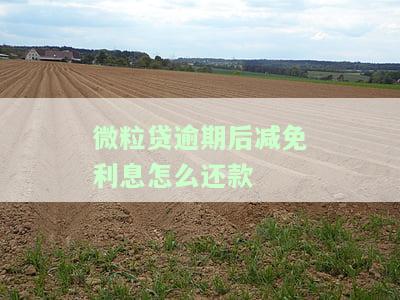 微粒贷逾期后减免利息怎么还款-微粒贷逾期后减免利息怎么还款的
