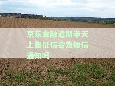 京东金融逾期半天上报征信会发短信通知吗-京东金融逾期半天上报征信会发短信通知吗